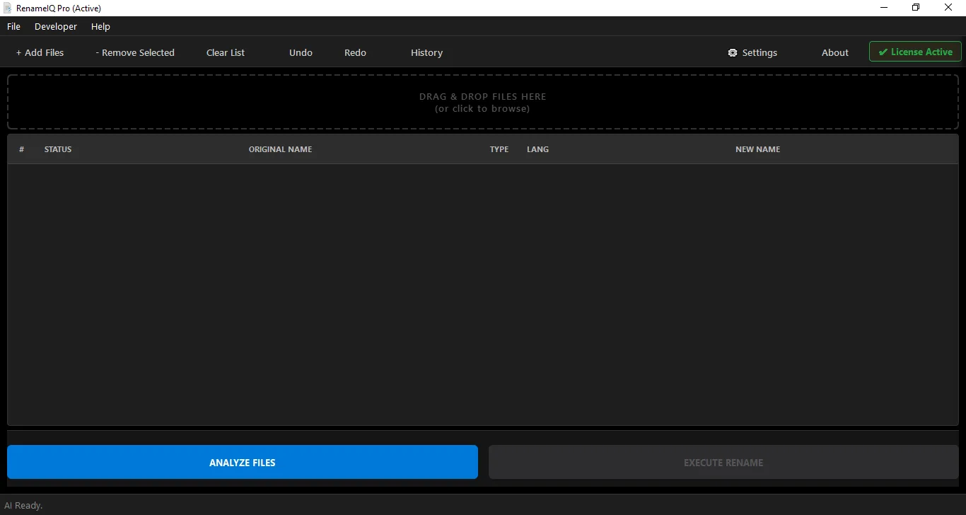 RenameIQ drag and drop interface